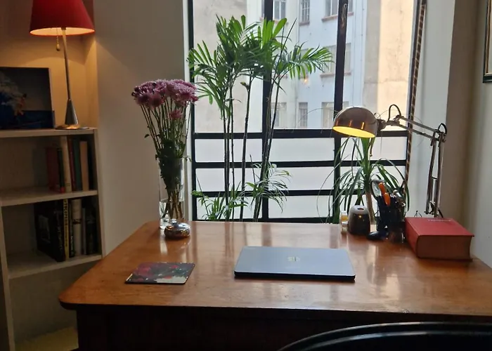 Art Deco Condesa Shared Homestay *